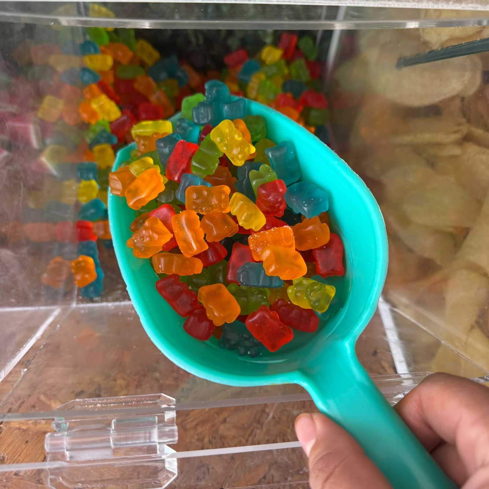 PANDITAS
