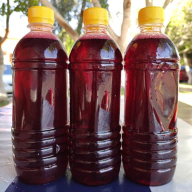 Agua de Jamaica
