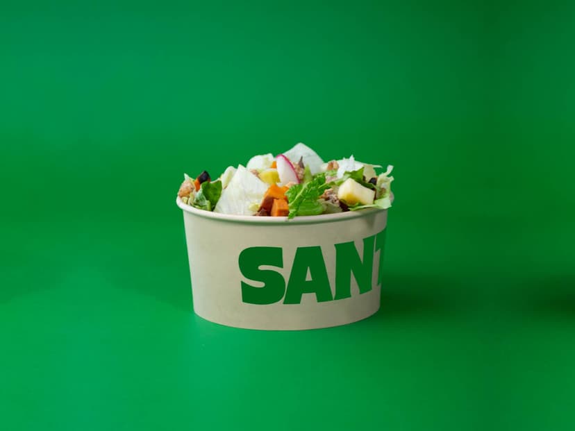 Santa Semilla