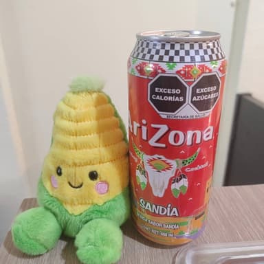 Arizona 460ml