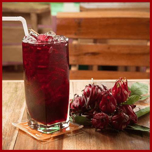 AGUA DE JAMAICA 1 LT