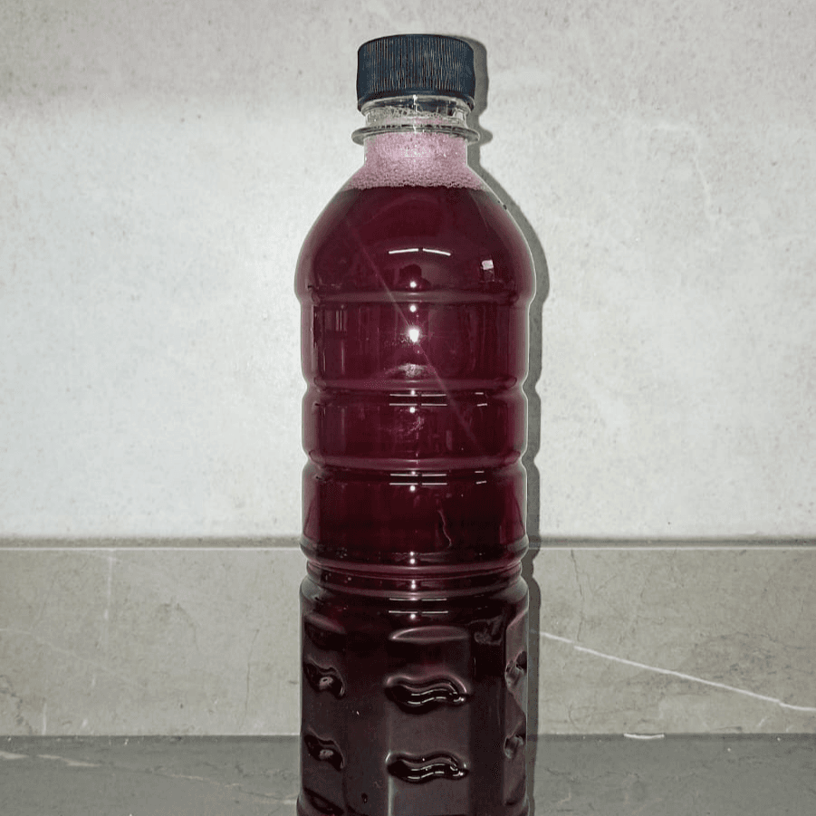 Agua de Jamaica 500ml