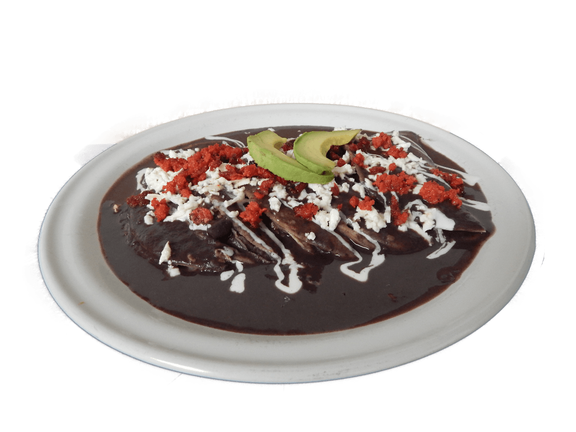 Enfrijoladas Veracruzanas
