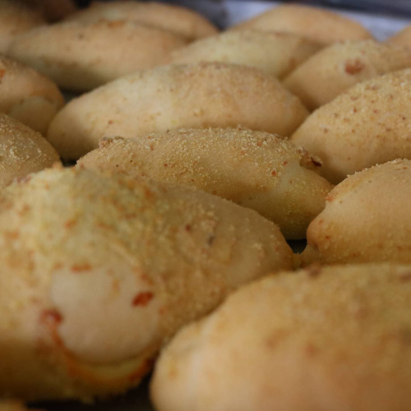 PAN AGRIDULCE UNIDAD