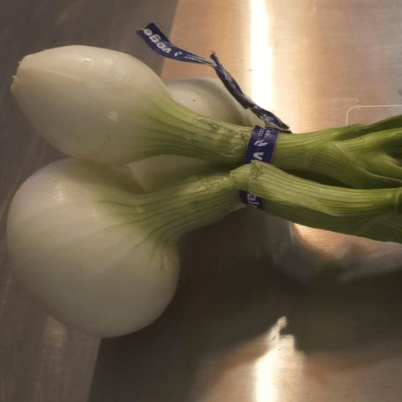 Cebolla Cambray Mazo
