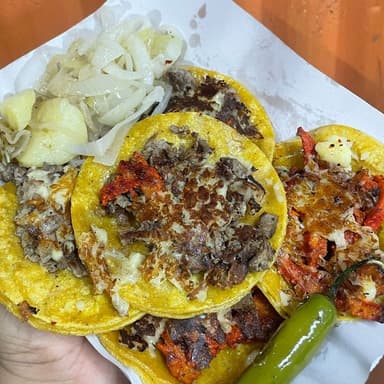 Orden de Tacos con queso mixtos