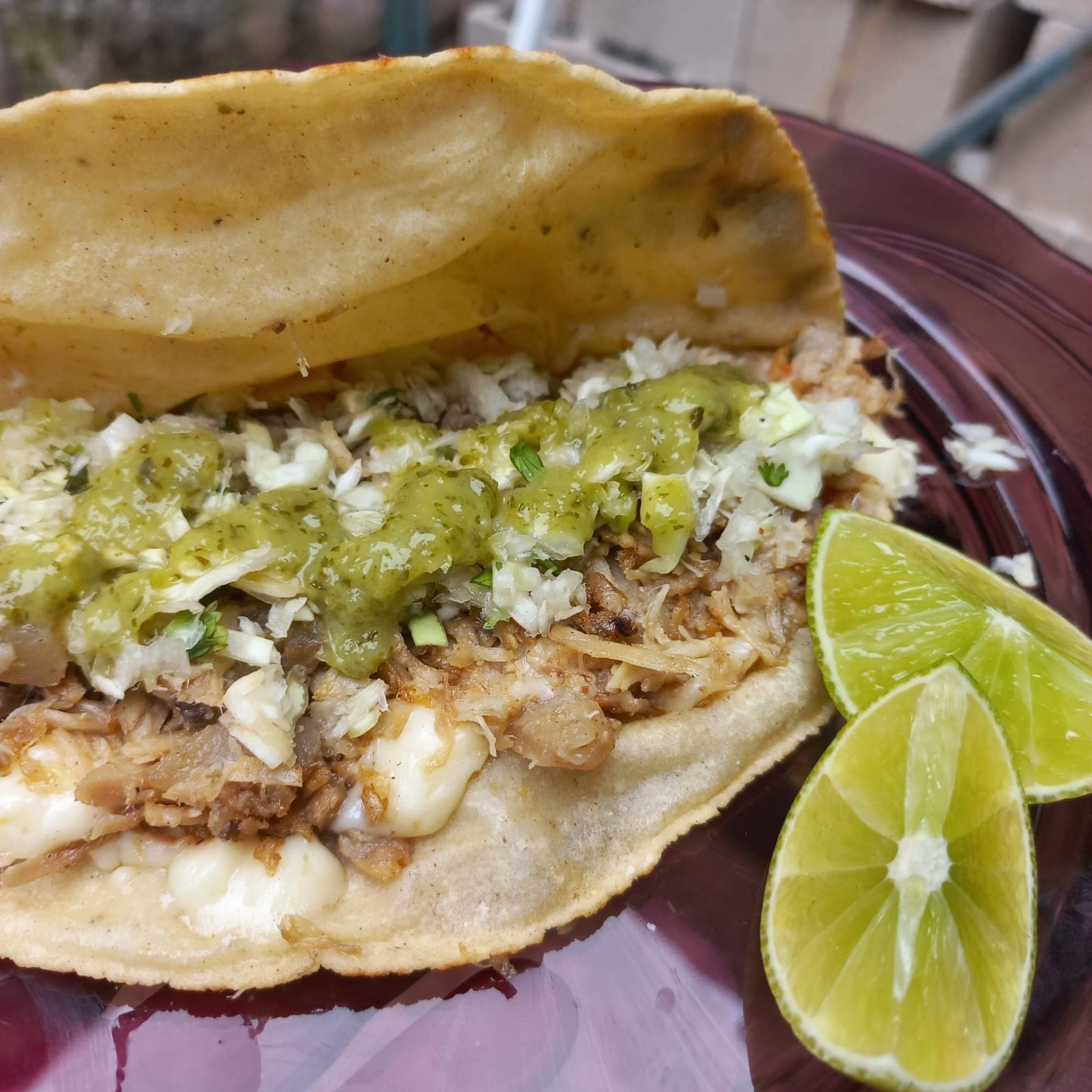 Quesadilla de Carnitas