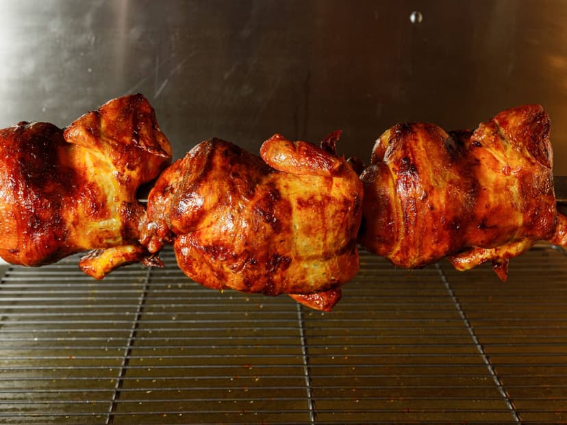 THE CHICKEN FAMILY