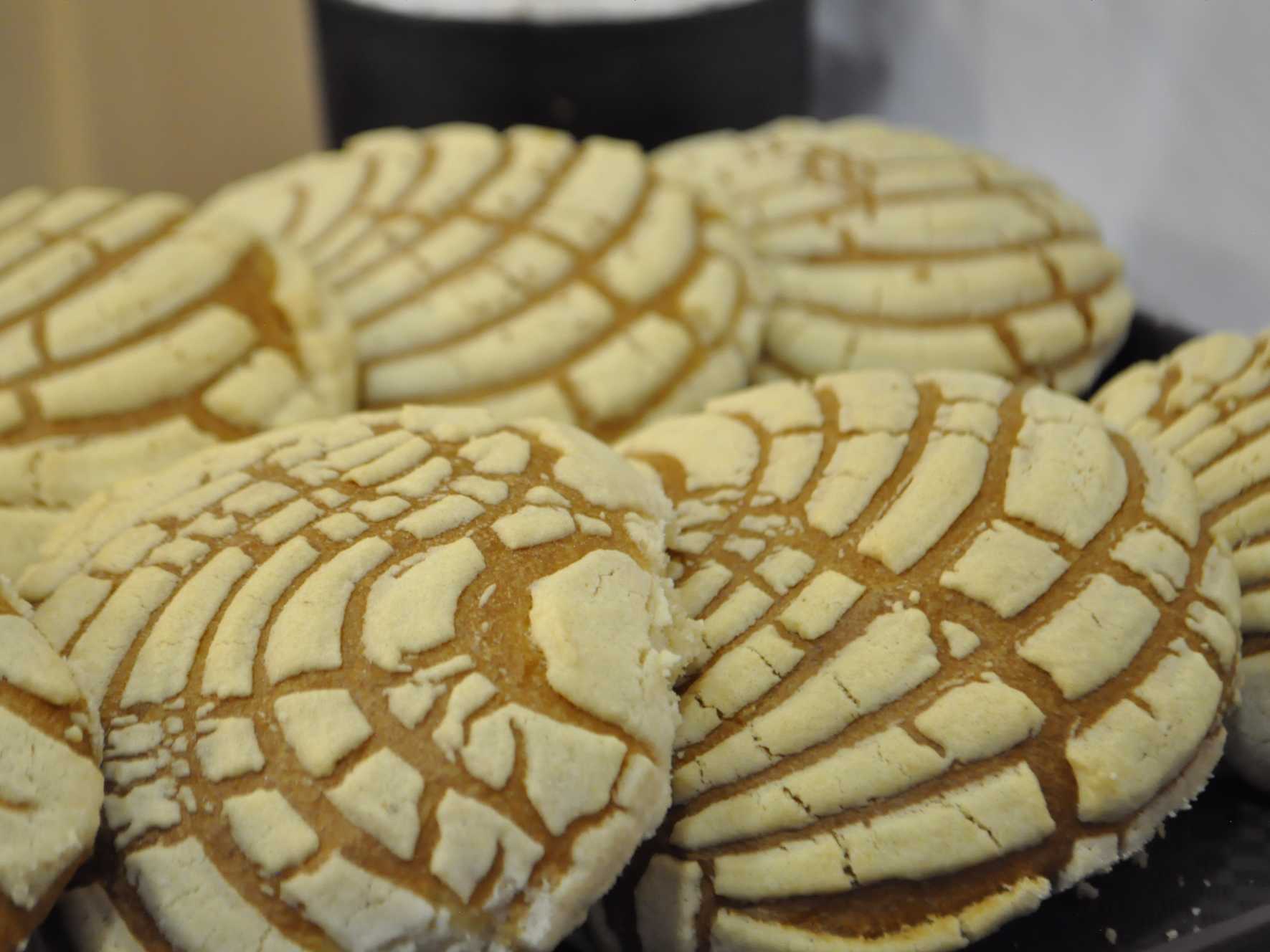 Conchas Tradicionales