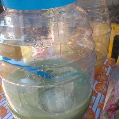 Agua Fresca de Fruta Natural de Temporada 1 Litro