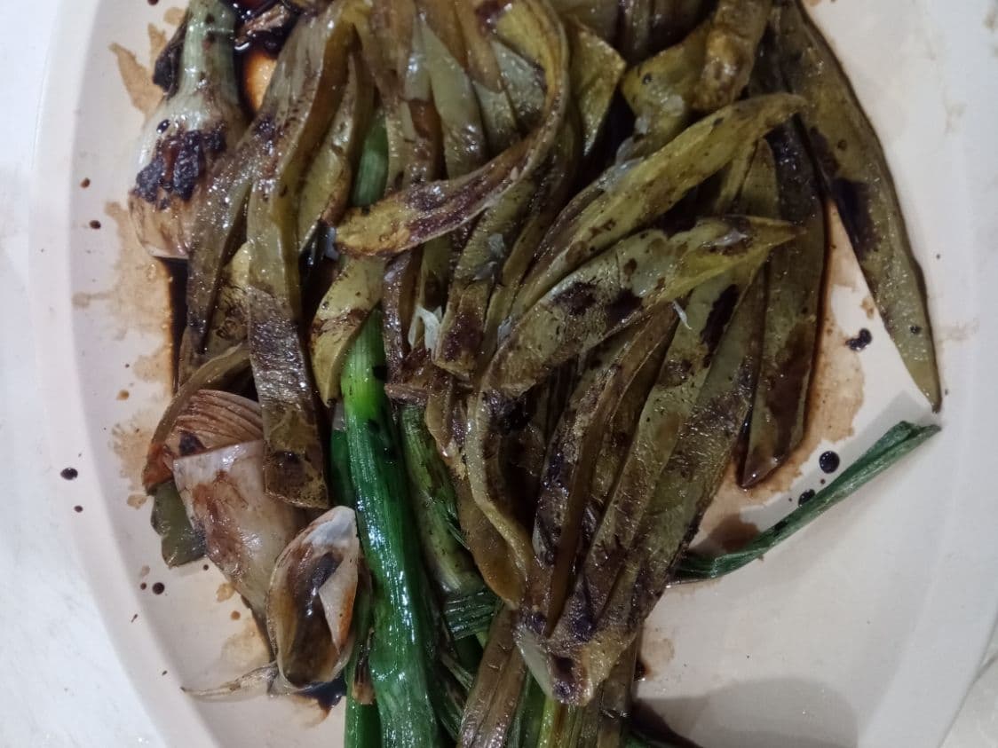 Nopal