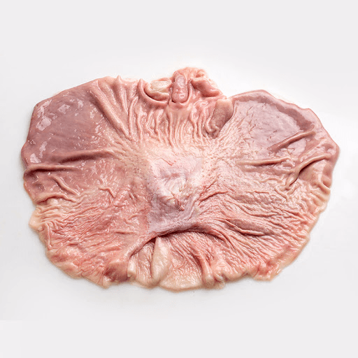Buche de Puerco