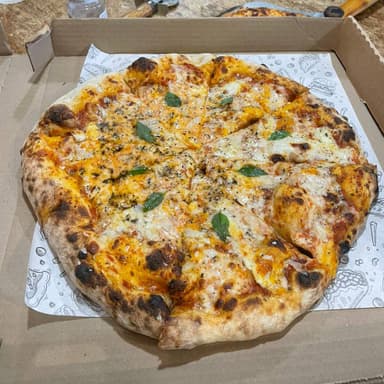 PICSSA NEVOLA GRANDE