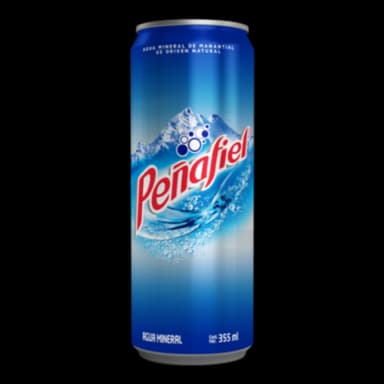Agua Mineral 355 Ml