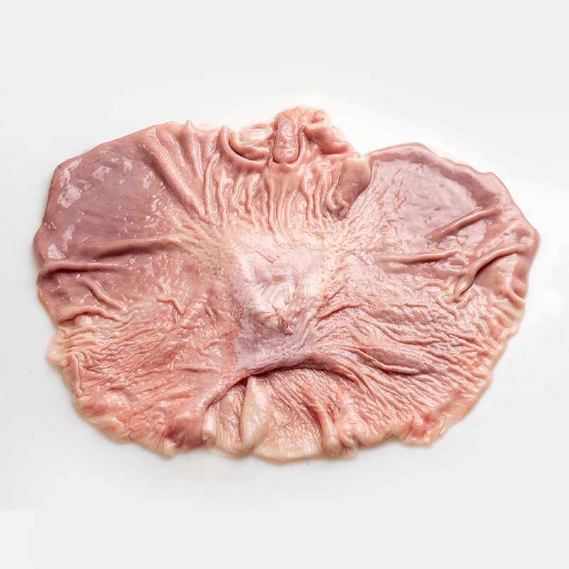 Buche de Cerdo