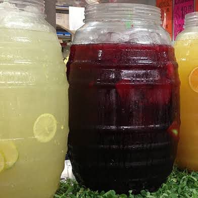 Agua Frutal 500ml