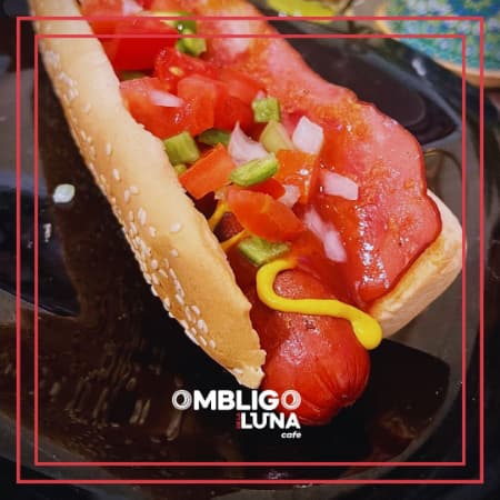 HOT DOG DE RES