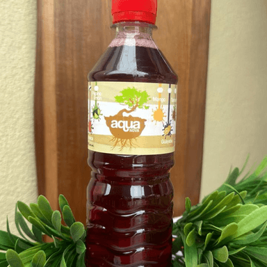 AGUA DE JAMAICA