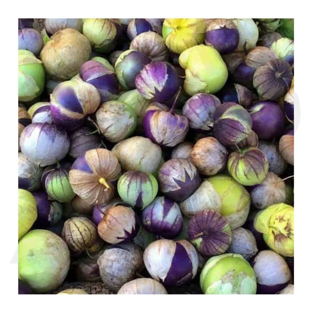 MILTOMATE CRIOLLO 600 G.