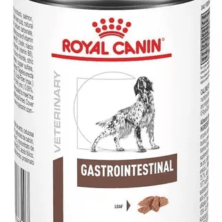Gastrointestinal HE Royal Canin Lata 385g
