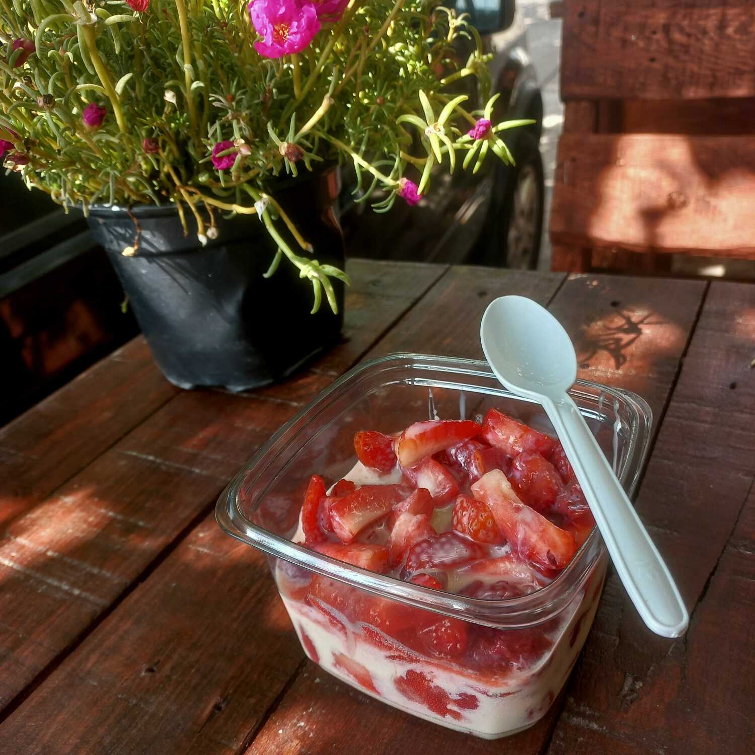 Fresas con Crema