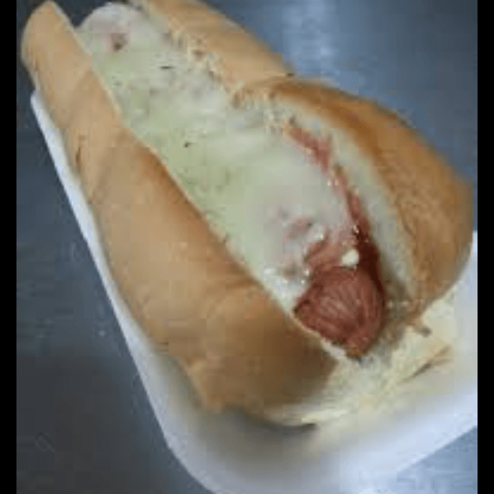 PERRO SENCILLO