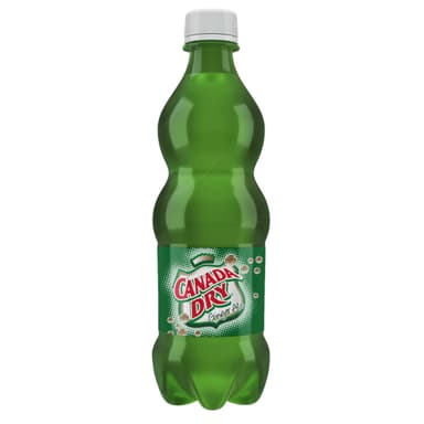 Ginger Ale 600 ml
