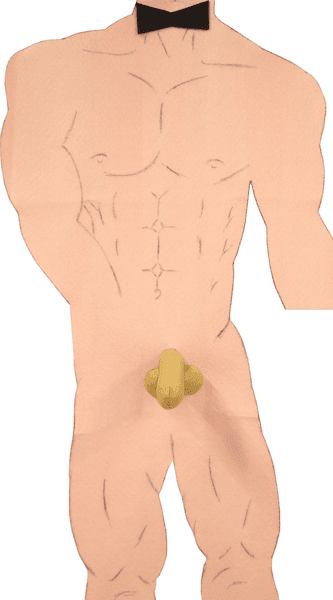 JUEGO DE TORSO