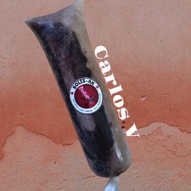 Bolis Gourmet Carlos V