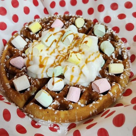 Waffle Sencillo