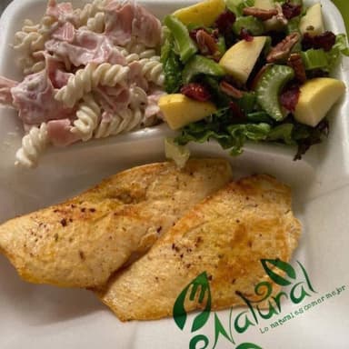 Platillo de Pollo a la Plancha