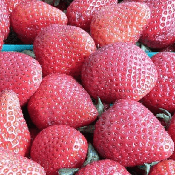 Agua de Fresa