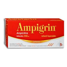 AMPIGRIN 250MG (AMPICILINA SOLUSIÓN INYECTABLE 250