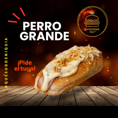 Perro Especial Grande