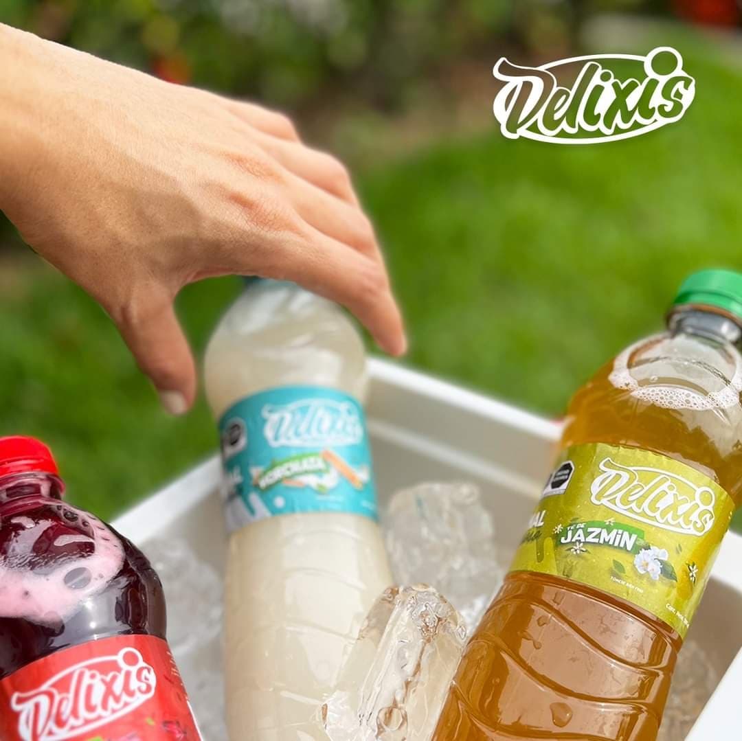 Agua DELIXIS Nanche