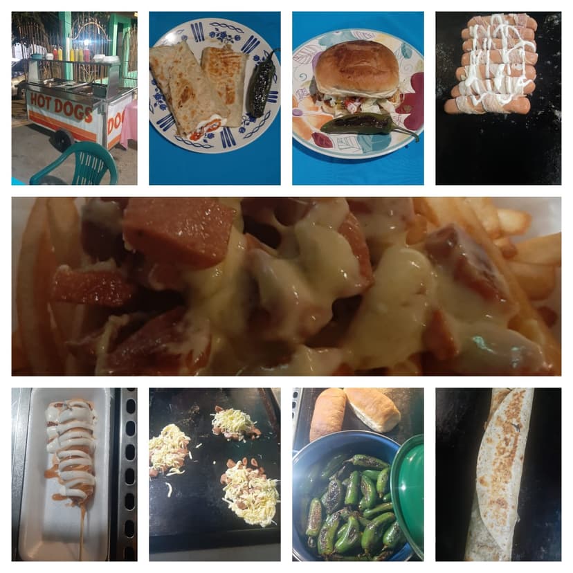 Hot Dog y Hamburguesas El Terco