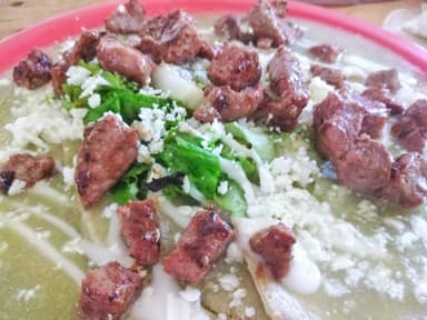 Enchiladas de Arrachera