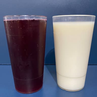 Agua de Jamaica