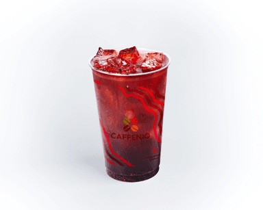 Kombucha Jamaica