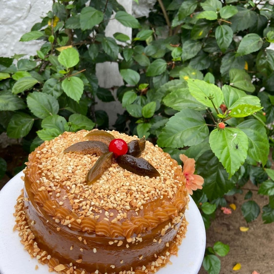 Torta Arequipe 1/2 lb (10 - 12 Porciones)