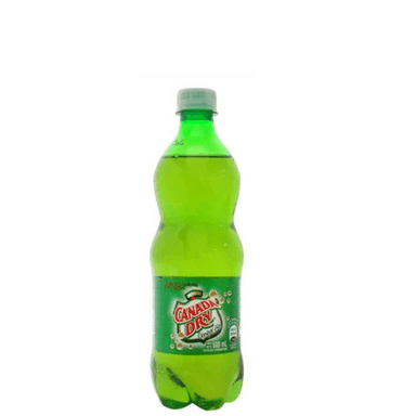 Ginger Ale 600ml
