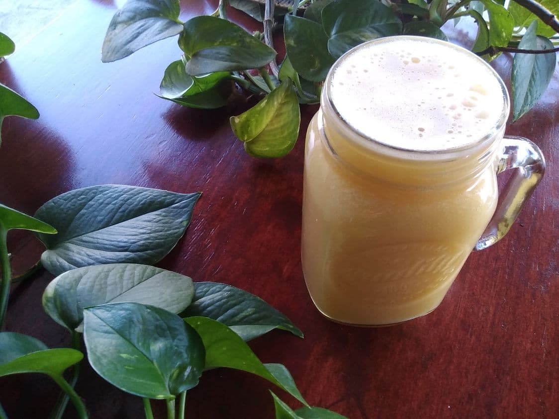 Jugo Antigripal 500 Ml