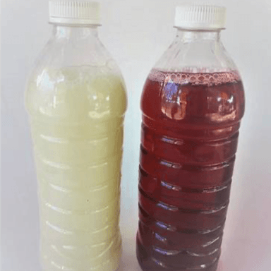Agua Fresca de Jamaica