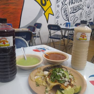 Volcan de al pastor