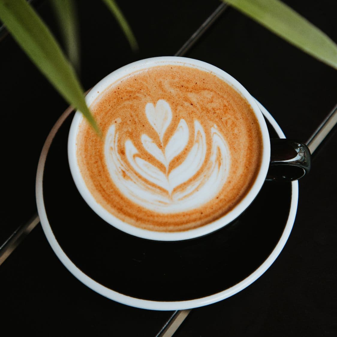 Mocha