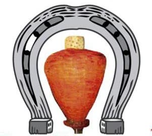 TAQUERIA LA HERRADURA