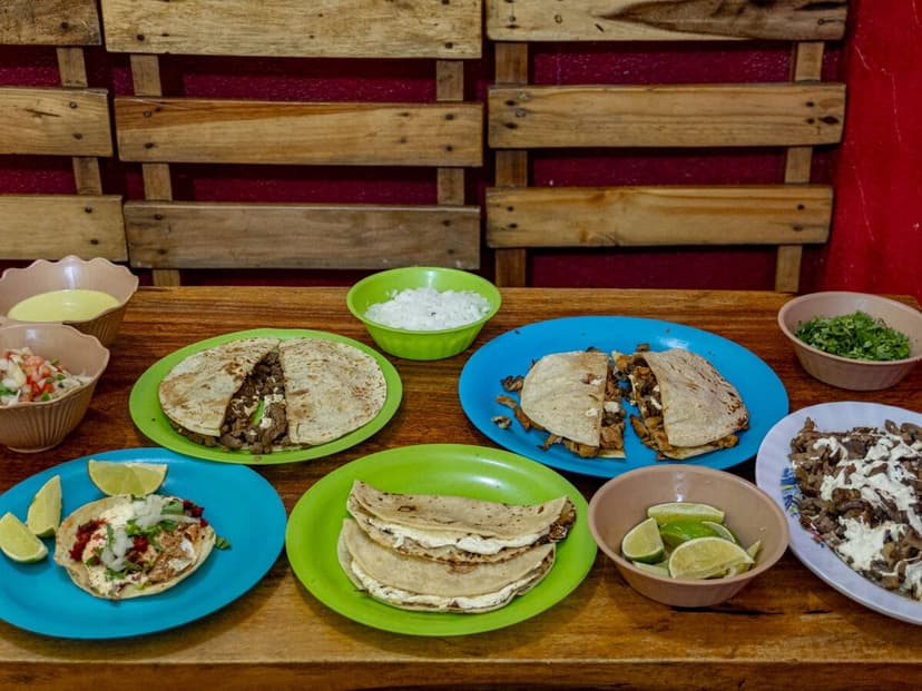 tacos y quesadillas katy