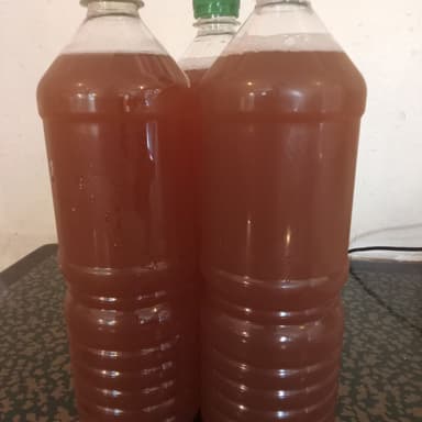 Vaso de Te 1L