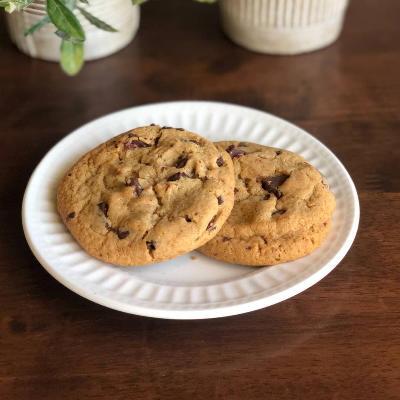 Galleta
