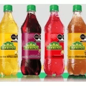 Jarritos 600 ml